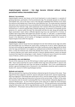 Angiostrongylus vasorum &ndash; Can dogs become infected without