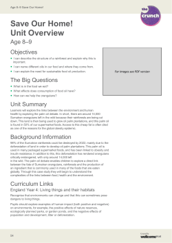 Save Our Home! &ndash; Lesson 2 Palm Oil Names