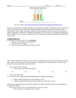 Macromolecule Virtual Lab