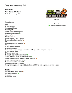 Fiery North Country Chili