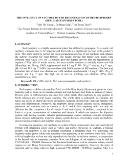 rubus alceaefolius poir