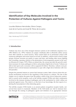 Identification of Key Molecules Involved in the Protection of Vultures