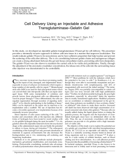 Cell Delivery Using an Injectable and Adhesive
