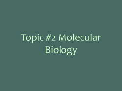 PowerPoint Presentation - Princeton City Schools