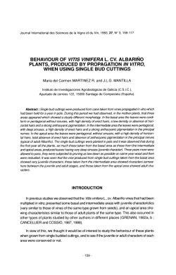 BEHAVIOUR OF VITIS VINIFERA L. CV. ALBARINO PLANTS