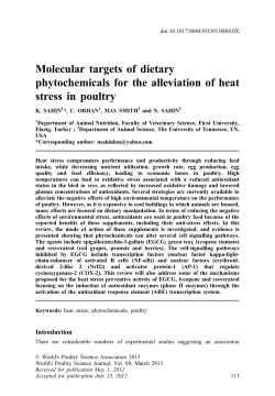 Molecular targets of dietary phytochemicals for the alleviation of heat