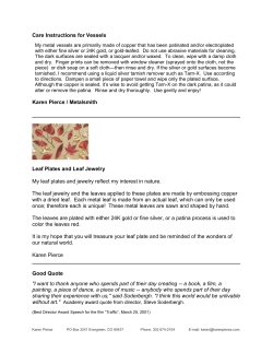 Care Instructions for Hollowware