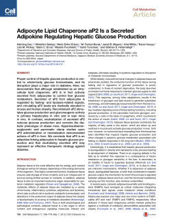 Adipocyte Lipid Chaperone aP2 Is a Secreted Adipokine Regulating