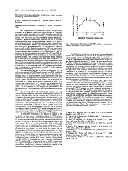 Modulation of inorganic phosphate uptake into a mouse myoblast