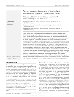 Protein turnover forms one of the highest