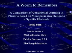 Emily Yuan, (FEO Program, 2002) "A worm to