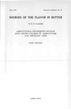 Sources of the Flavor in Butter