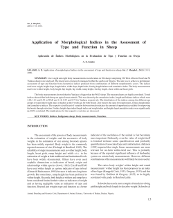 Application of Morphological Indices in the Assessment of Type and