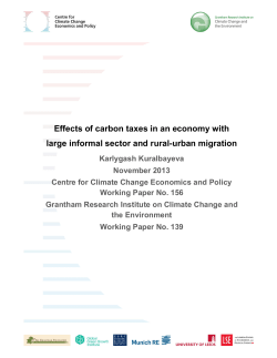 Effects of carbon taxes in an economy with large informal sector and