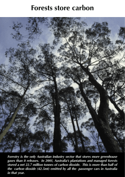 Forests store carbon