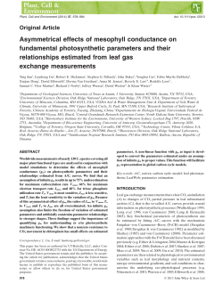 Asymmetrical effects of mesophyll conductance on fundamental