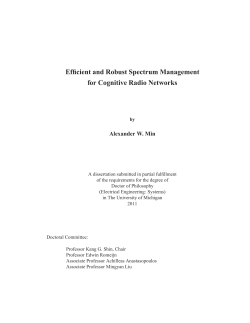 Efficient and Robust Spectrum Management for