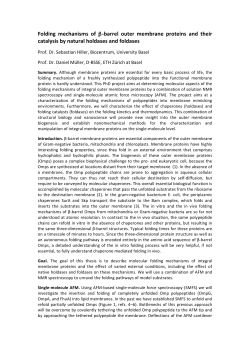 Folding mechanisms of &beta;-‐barrel outer membrane proteins and their