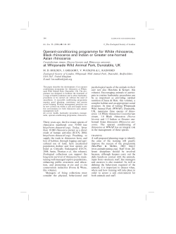 Operant-conditioning programme for White rhinoceros, Black