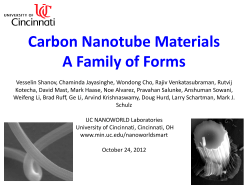 Carbon Nanotube Materials A Family of Forms