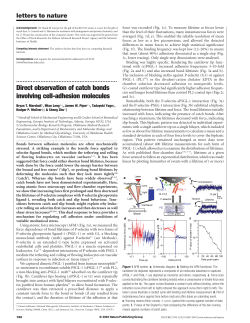 Direct observation of catch bonds involving cell