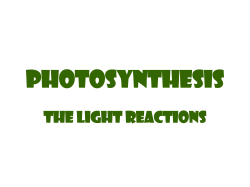 Photosynthesis