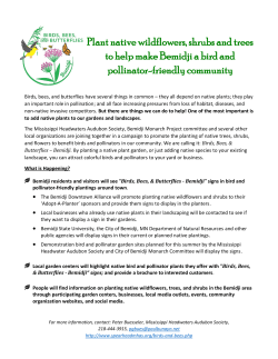 Plant native wildflowers, shrubs and trees to help make Bemidji a