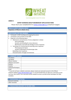 - Wheat Initiative