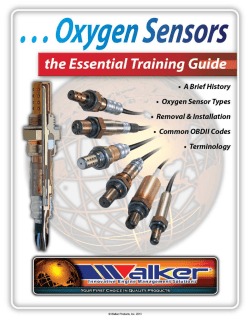 Printable PDF Training Guide