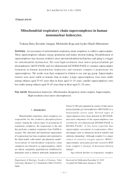 Mitochondrial respiratory chain supercomplexes