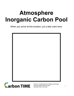 Atmosphere Inorganic Carbon Pool