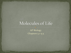 Molecules of Life