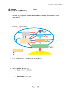 Chapter 54 - Reading Guide