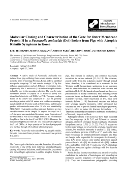 Molecular Cloning and Characterization of the Gene for Outer