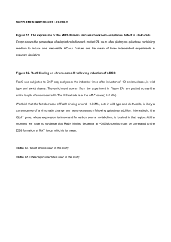 fluorescence-based assay suitable for quantitative analysis of