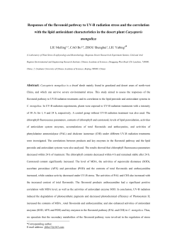 Responses of the flavonoid pathway to UV
