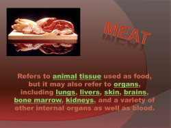 ppt_presentation_meat