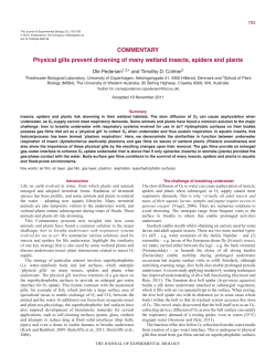 COMMENTARY Physical gills prevent drowning of many wetland
