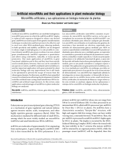 Artificial microRNAs and their applications in plant molecular biology