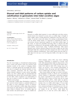 Diurnal and tidal patterns of carbon uptake and calcification in
