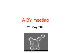 AIBY meeting