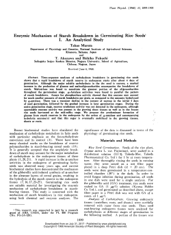 Enzymic Mechanism of Starch Breakdown in