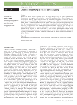 Ectomycorrhizal fungi slow soil carbon cycling