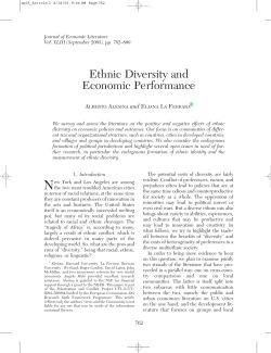 Ethnic Diversity and Economic Performance