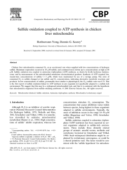 Sulfide oxidation coupled to ATP synthesis in chicken liver