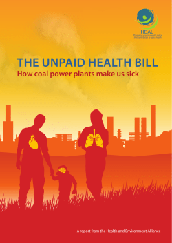 The Unpaid Health Bill - Health and Environment Alliance