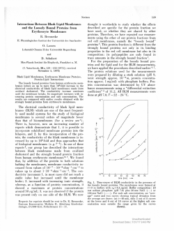 Interactions Between Black Lipid Membranes and the
