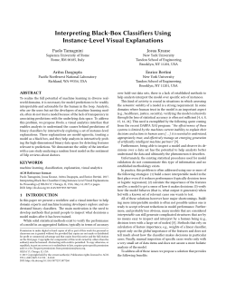 Interpreting Black-Box Classifiers Using Instance