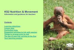 Nutrition and Movement