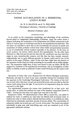 iodine accumulation in a nemertine, lineus ruber